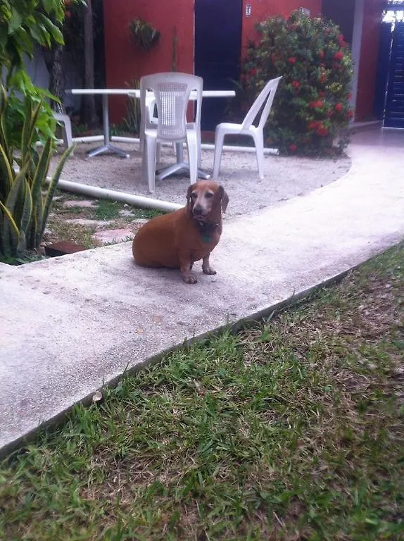 ** Hotel Villa Matisse Tulum Mexico